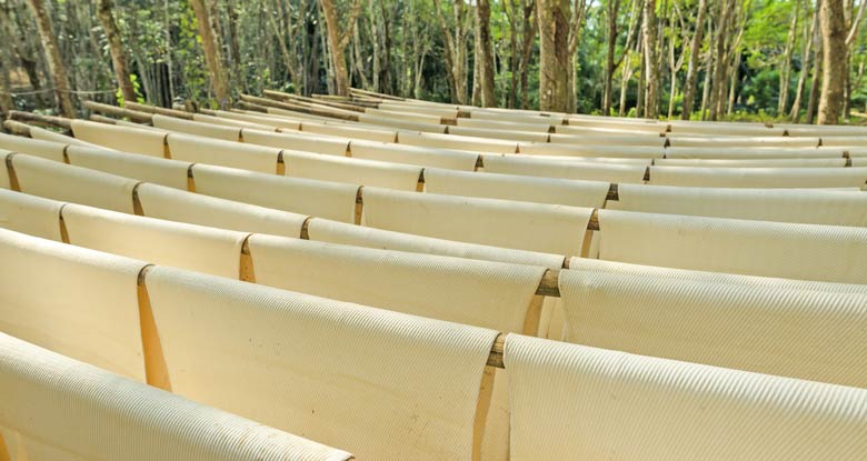 ANRPC kêu gọi EU xem xét sâu hơn về vai trò của ngành cao su thiên nhiên trong phát triển bền vững